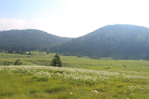 hr_landscape09